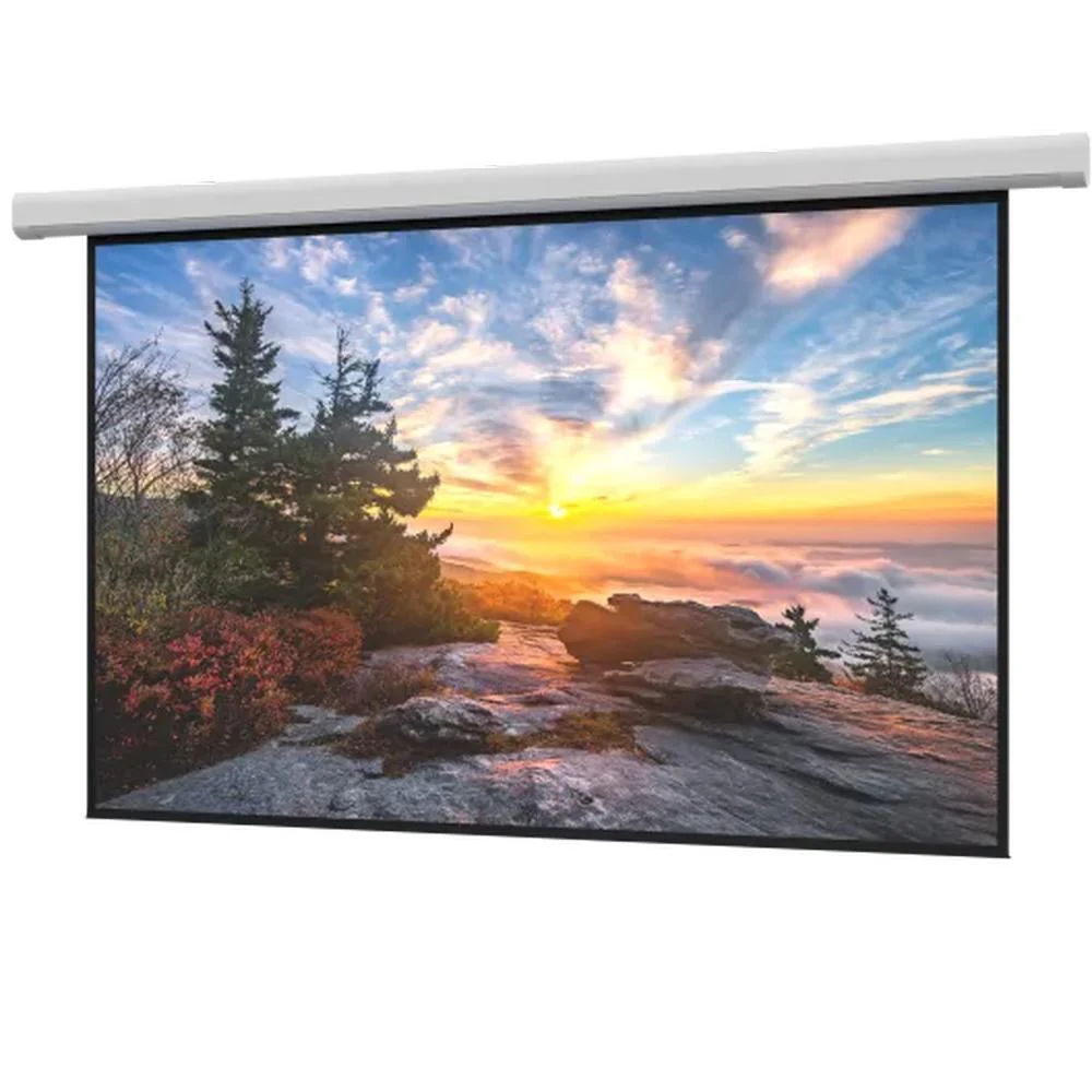 Da-Lite Myriad Reveal DL100201L - 208"Diag. (110X176) - Widescreen [16:10] - Matte White - [CUSTOM]