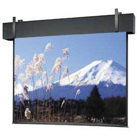 Da-Lite Professional Electrol 81634 - 240" diag.(141x188) - [4:3] - Matte White - 1.0 - [CUSTOM]