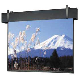 Da-Lite Professional Electrol 99780 - 243" diag.(119x212) - [16:9] - Matte White - 1.0 - [CUSTOM]