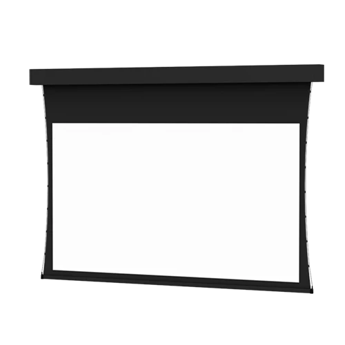 Da-Lite Professional Electrol Tensioned 99932 - 220" diag.(108x192) - [16:9] - Da-Mat - 1.0 - [CUSTOM] - Image 2