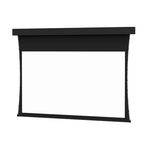 Da-Lite Professional Electrol Tensioned 99938 - 220" diag.(108x192) - [16:9] - HD Progressive ReView 0.9 - [CUSTOM] - Image 2