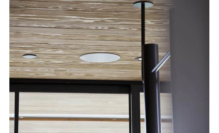 Definitive Technology DC-80 MAX In-ceiling speaker - Image 9