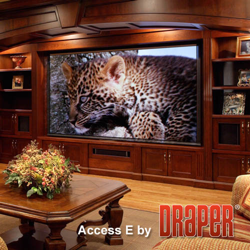 Draper 139043 Access/Series E 189 diag. (100x160) - Widescreen [16:10] - Matt White XT1000E 1.0 Gain - [CUSTOM] - Image 7