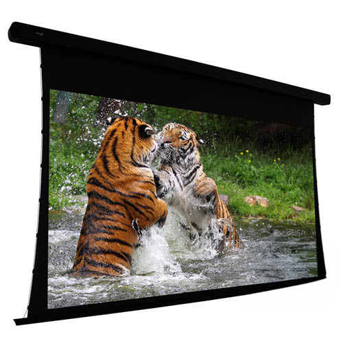 EluneVision 112" (55x98) 16:9 Reference Studio 4K Tab Tensioned 1.0 Gain Projector Screen