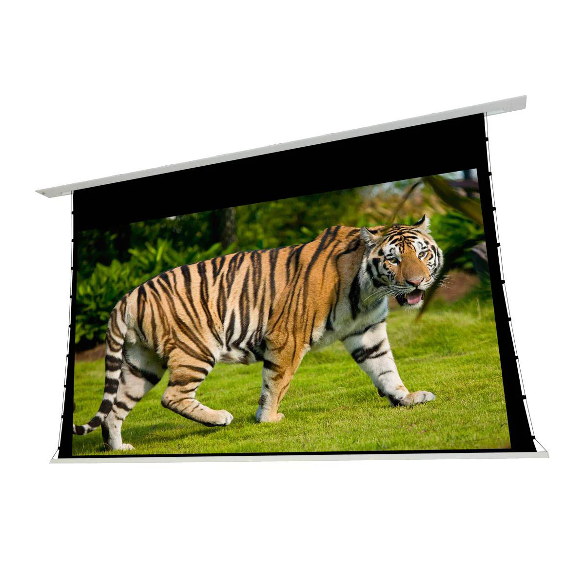 EluneVision 150" (74x130) 16:9 Reference Studio Tab-Tensioned In-Ceiling Screen 4K+ 1.0 Gain Projector Screen - EV-TIC-150-1.0
