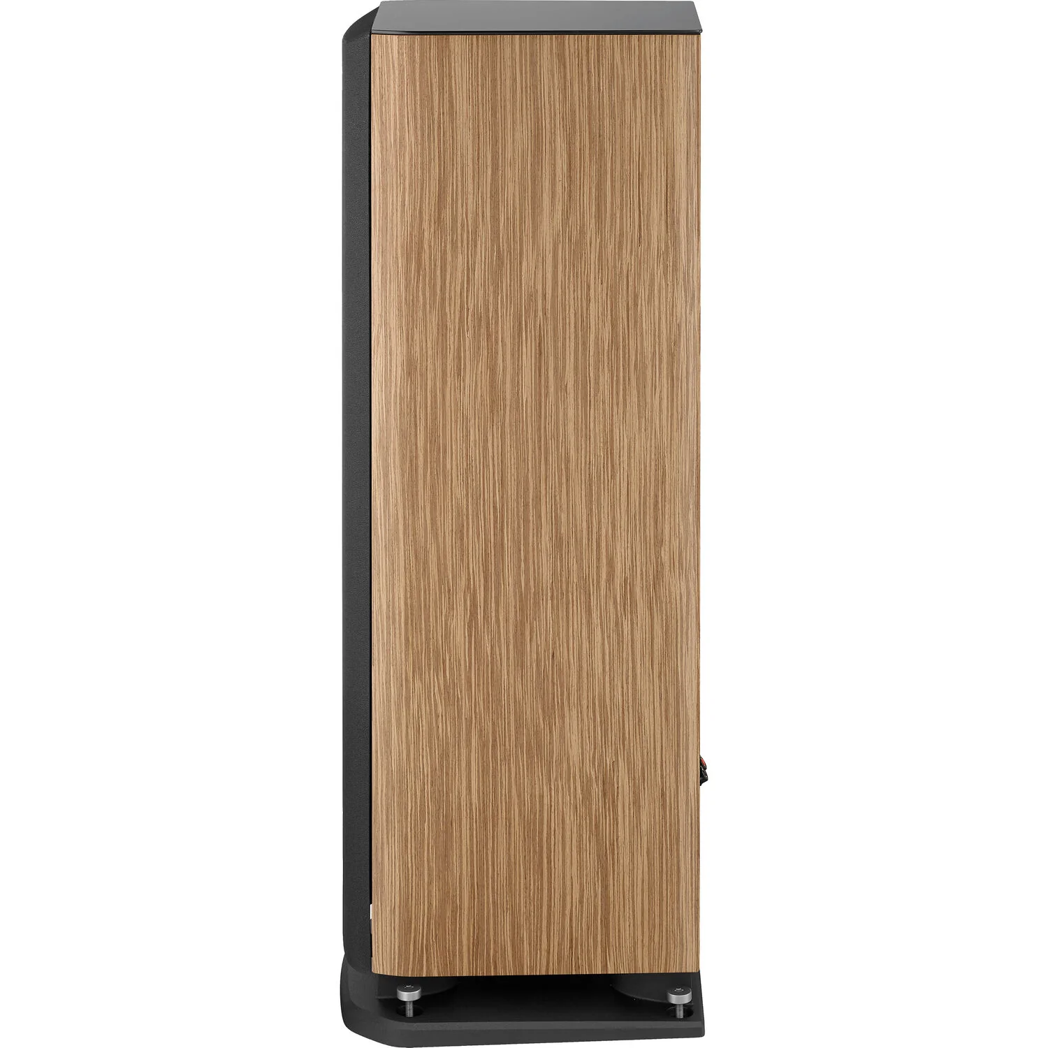 Focal Aria Evo X N2 Three-Way Floorstanding Speaker (Prime Walnut, Single) - Image 7