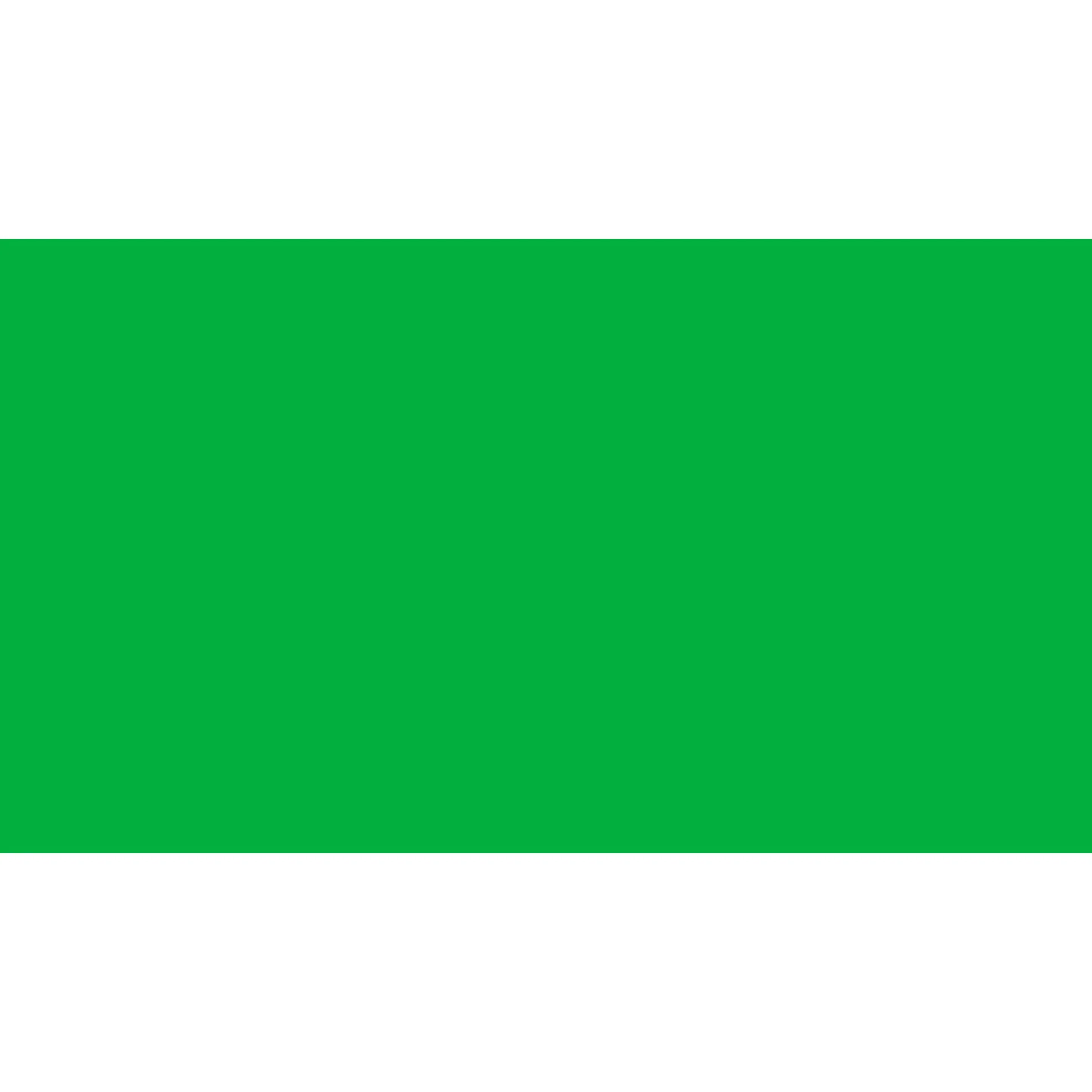 Projection / Projector Screen Paint - Chroma Key Green Paint - Gallon - Image 2