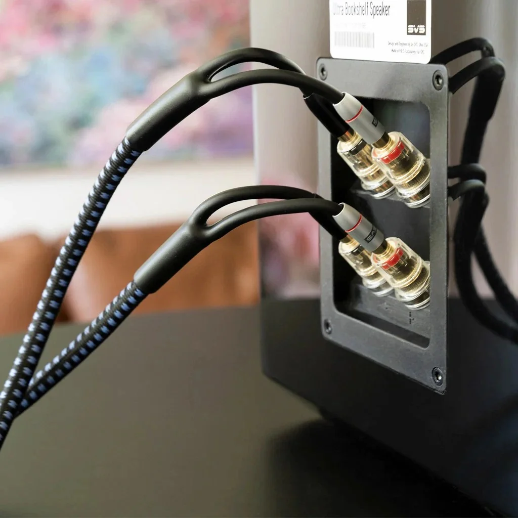 SVS Soundpath Ultra Bi-Wire-Speaker Cable - 10Ft - Image 3