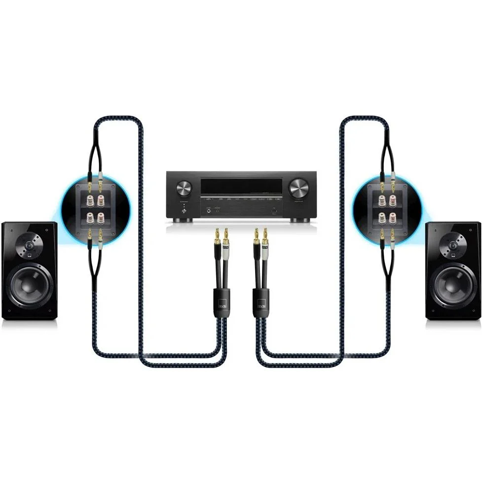 SVS Soundpath Ultra Bi-Wire-Speaker Cable - 10Ft - Image 5